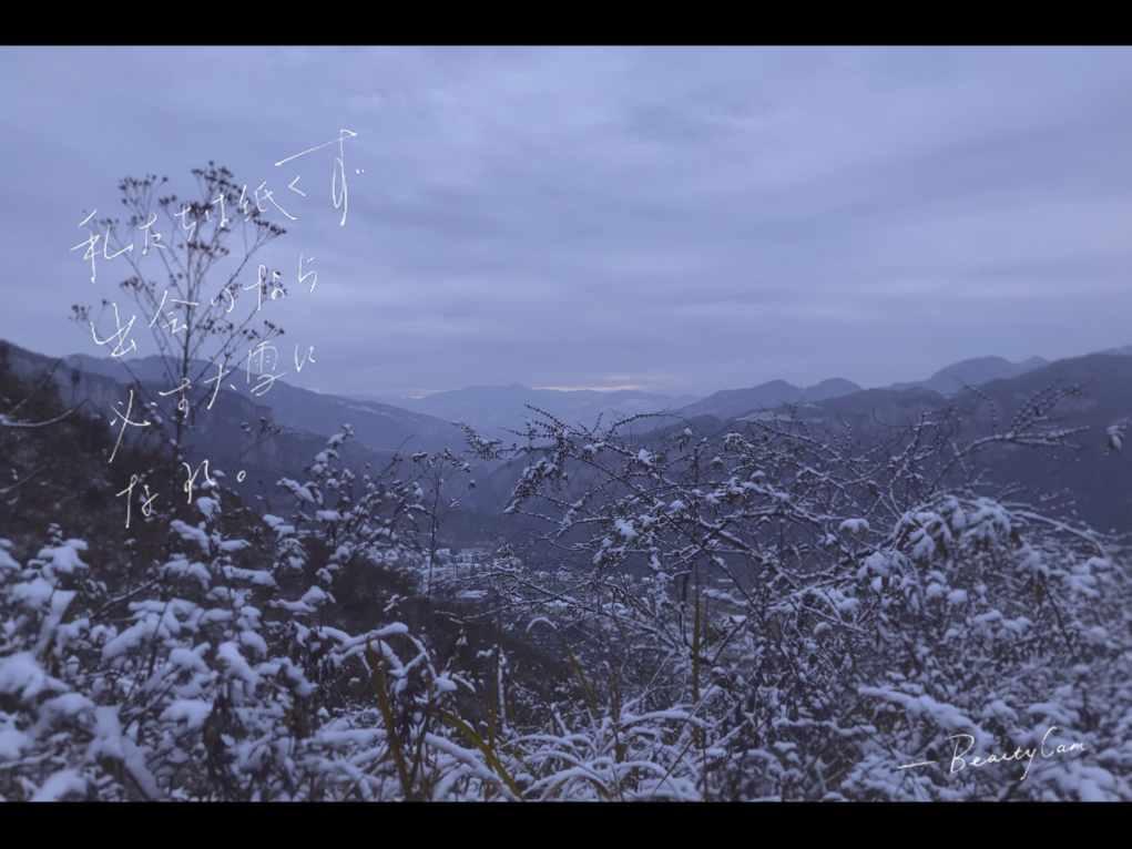 红烧茄子做法